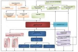 структура органов управления
